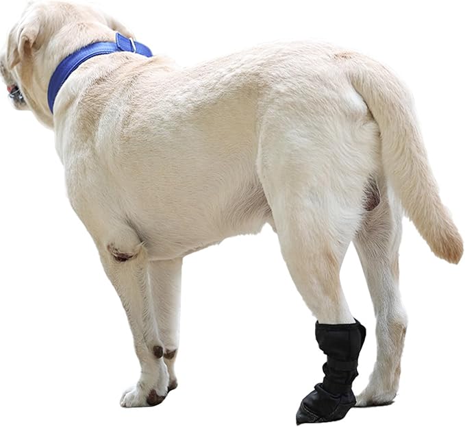 Dog Paws Protector Boot Large Size Water Resistant Soft Recovery Shoe for Dog Wound Care Breathable Pet Footwear