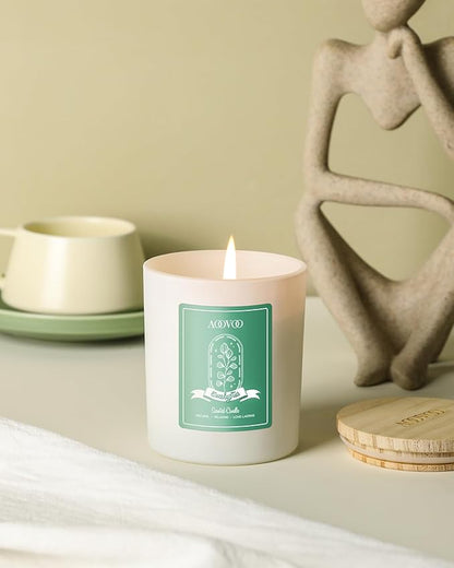 AOOVOO Eucalyptus Mint Scented Candles for Women - Aromatherapy Candle with Crystals Inside, 10oz Soy Candles for Home Scented, Birthday Gifts Christmas Candle for Women Mom