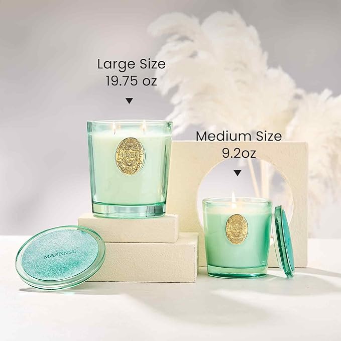 M&SENSE Natural Aromatherapy Soy Candle | Eucalyptus Mint & Blue | 9.2 oz, 50H Burn Time | Luxury Scented Candle for Relaxation, Gifting, Home Décor | Ideal for Bedroom, Office, Party Ambiance