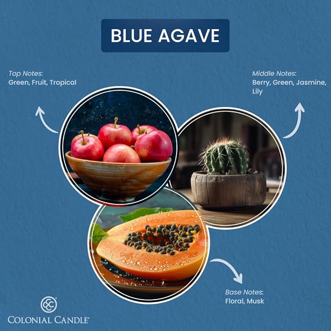 Colonial Candle Blue Agave Scented Jar Candle, Pop of Color Collection, 3 Wick, 14.5 oz - Up to 60 Hours Burn