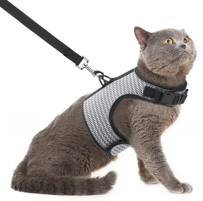 PUPTECK Soft Mesh Cat Vest Harness and Leash Set Puppy Padded Pet Harnesses Escape Proof for Cats Small Dogs Rabbits Bunny