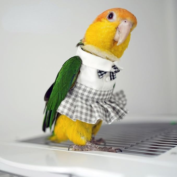 Bird Costume Bird Diaper Flight Suit Cute JK Dress Dress Skirt Clothes Cosplay Photo Prop for Parrots Macaw Cockatoo (with Diaper,M)