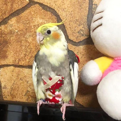 Bird Flight Suits Diapers, Parrot Flight Suits Diapers for Quaker Parakeets Cockatiels Flight Suits, Parrot Clothes (Almond A,M)