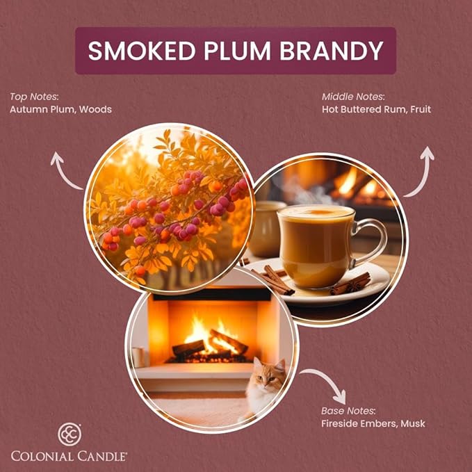 Colonial Candle Smoked Plum Brandy Jar Candle, Pop of Color Collection, 3 Wick, Purple, 14.5 oz - Up to 60 Hours Burn