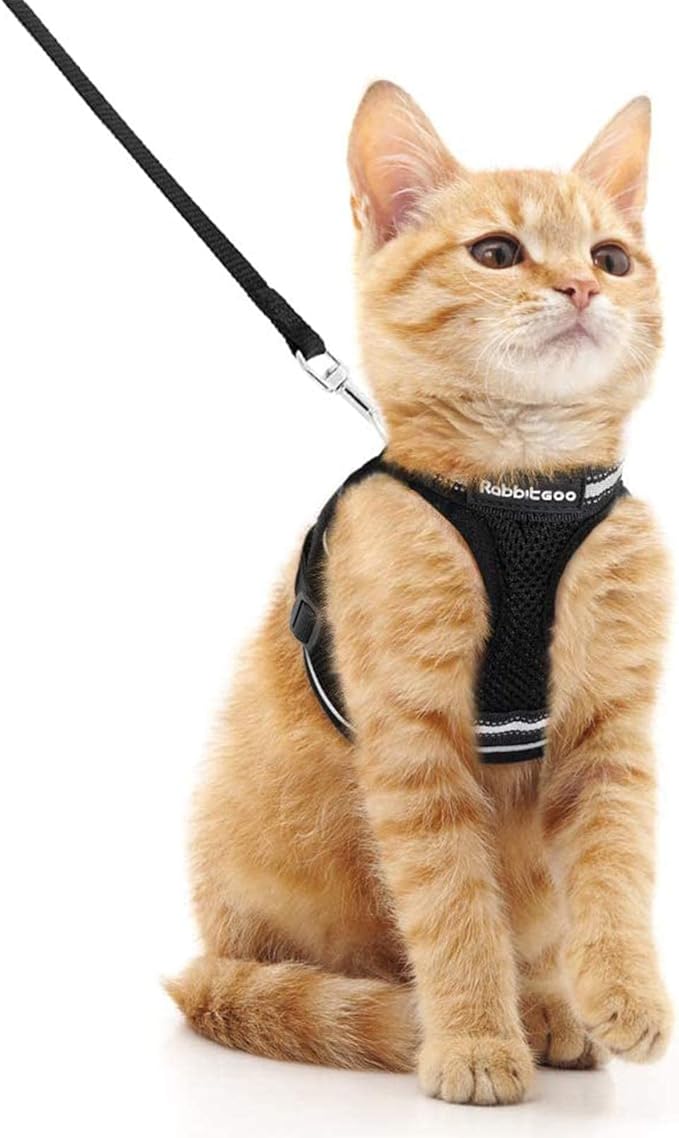 rabbitgoo Cat Harness and Leash Set for Walking Escape Proof, Adjustable Soft Kittens Vest with Reflective Strip for Cats, Comfortable Outdoor Vest, Black, M
