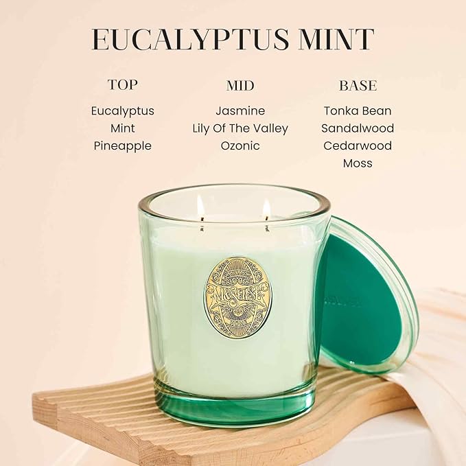 M&SENSE Large Two-Wick Aromatherapy Soy Candle | Eucalyptus Mint & Blue | 19.8 oz, 120H Burn Time | Luxury Scented Candle for Relaxation, Gifting, Home Décor | Ideal for Bedroom, Office