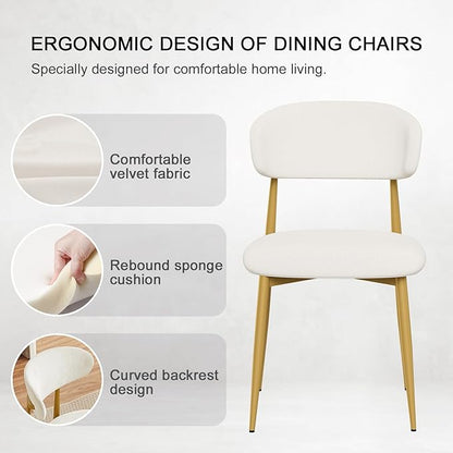 Velvet Dining Chairs Set of 4, Modern Kitchen Chairs with Curved backrests and Metal Legs, Upholstered Dining Chairs for Dining Room,White and Gold