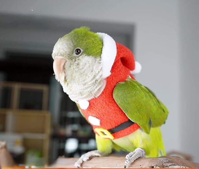 Bird Clothes Birds Flight Suit, Christmas Hoodie for Parrots Cockatiel Sun Conure Christmas Party Cosplay Photo Prop Bird Shirt Small Animals Apparel (with Diaper,Alexandrine)