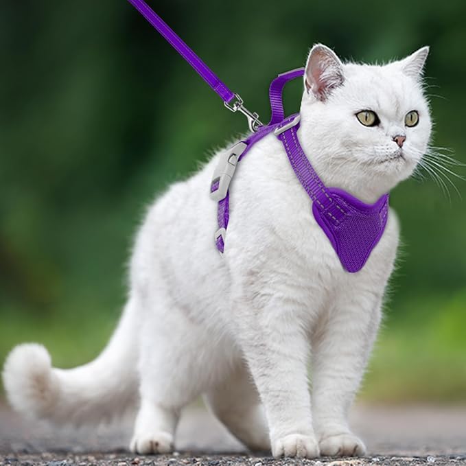 Cat Harness and Leash Set Escape Proof for Kitten Walking, Soft Adjustable Top Handle Vest Harnesses for Cats, Easy Control Breathable Reflective Small Medium Large, Purple, S