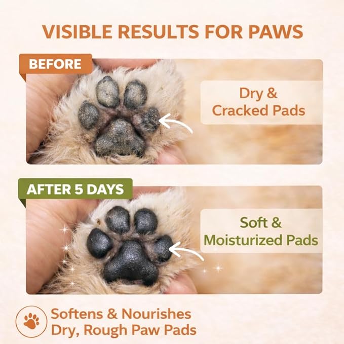 Lick-Safe Dog Paw&Nose Balm with Coconut Oil|Natural Ingredients Paw Cream&Wax for Dry,Large-Capacity Package of 1.41oz|Cracked Pads & Snouts| Cat Moisturizer&Soother (Mixed Colors)