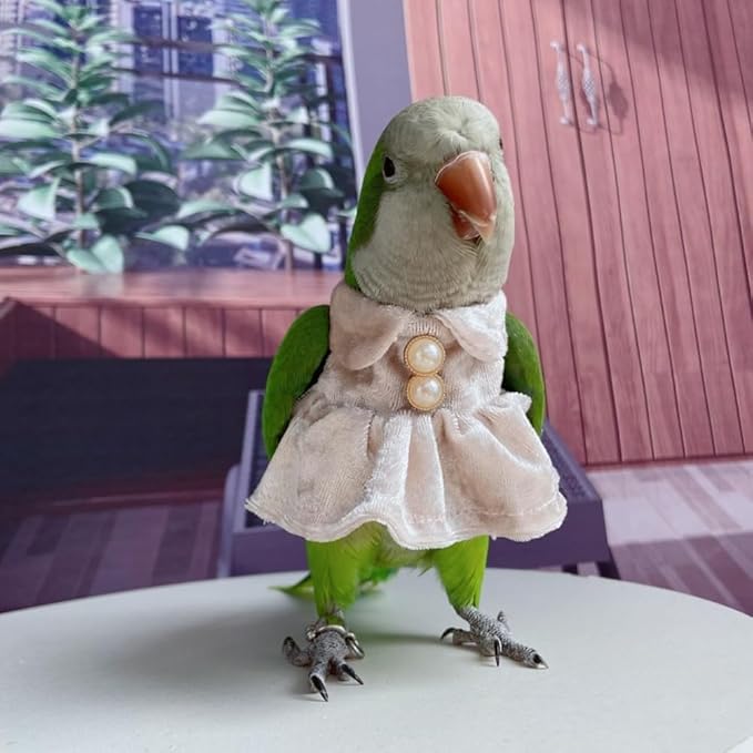 Bird Costume Bird Diaper Flight Suit Parrot Velvet Fleece Skirt Clothes Cosplay Photo Prop for Conure Lovebird Parakeet Cockatiel Macaw Small Animals Apparel (Pink,2M)
