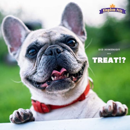 Chicken Jerky & Sweet Potato Dog Treats with Only 4 Ingredients and No Fillers, 3 Pound Bag