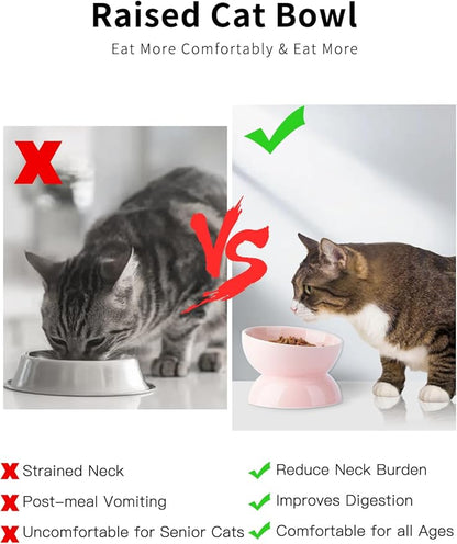 Cat Water Bowl, 16 OZ Ceramic Elevated Cat Bowls, 15° Tilted and Raised Pet Food Dish, Anti Vomiting Protect Pets' Spines and Whisker Fatigue