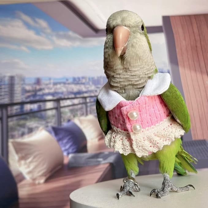 Bird Diaper Flight Suit - Pink Top Bird Clothes Cosplay Photo Prop for Parrots, Lovebirds, Parakeets, Cockatiels & Small Animals (Green Quaker)
