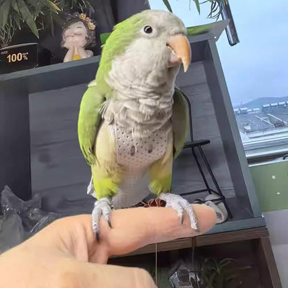 Premium Genuine Cowhide Bird Flight Harness Anti Bite Breathable Parrot Diaper Parrot Suit with Leash for Parakeet Conure Quaker Flying Clothes Rope and Handle (with Leash,Small)