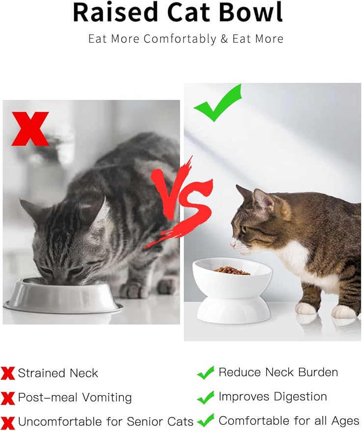 Cat Water Bowl, 16 OZ Ceramic Elevated Cat Bowls, 15° Tilted and Raised Pet Food Dish, Anti Vomiting Protect Pets' Spines and Whisker Fatigue