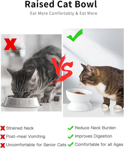 Cat Water Bowl, 16 OZ Ceramic Elevated Cat Bowls, 15° Tilted and Raised Pet Food Dish, Anti Vomiting Protect Pets' Spines and Whisker Fatigue