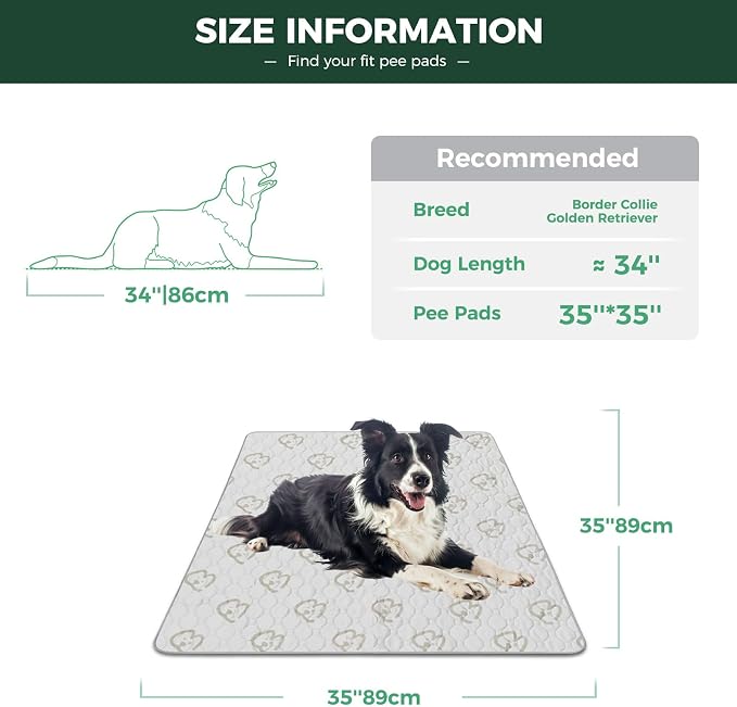 FXW Washable Pee Pads for Dogs, Puppy Pads with Super Absorbent, Specifically Designed for Potty Training, 35" Square, Khaki, 2 Packs