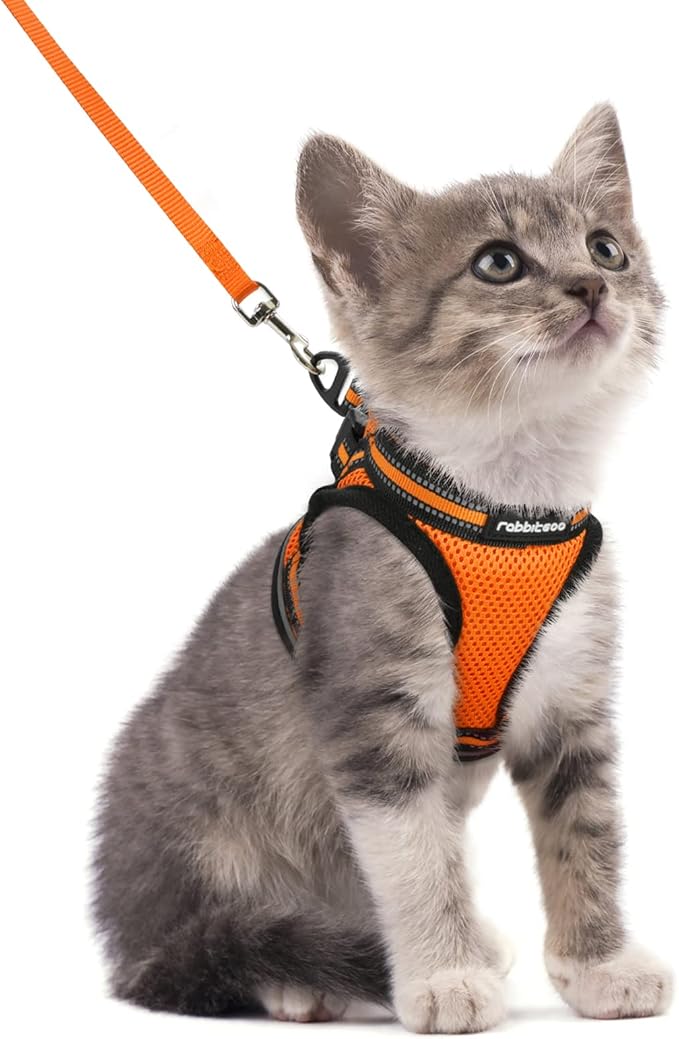 rabbitgoo Cat Harness and Leash Set for Walking Escape Proof, Adjustable Soft Kittens Vest with Reflective Strip for Cats, Comfortable Outdoor Vest,Light Orange,S