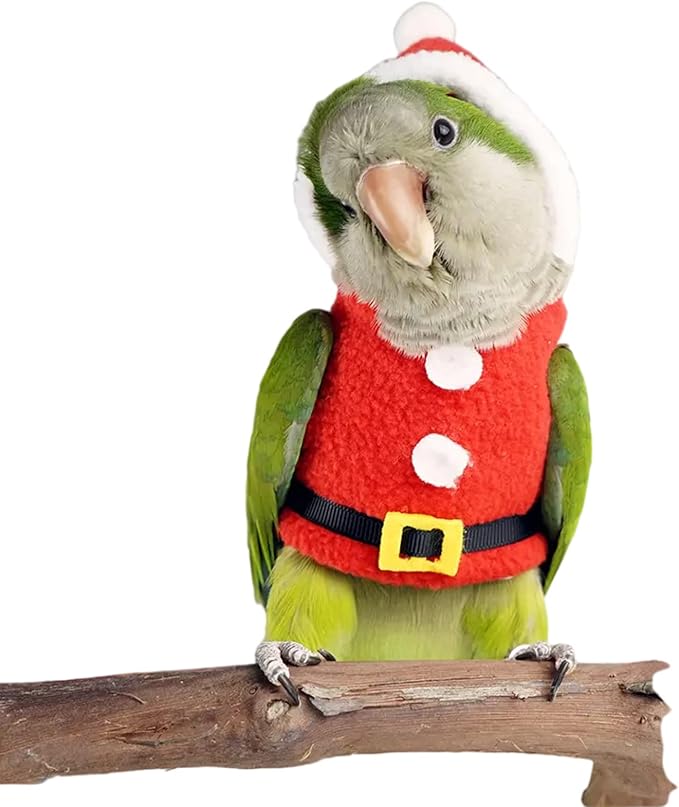 Bird Clothes Birds Flight Suit, Christmas Hoodie for Parrots Cockatiel Sun Conure Christmas Party Cosplay Photo Prop Bird Small Animals Apparel (Without Diaper,Green-cheeked Conure) Red