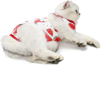 Cat Professional Surgical Recovery Suit,E-Collar Alternative for Cats Dogs,After Surgery Wear, Pajama Suit,Home Indoor Pets Clothing (M (6-8 1bs), Watermelon)
