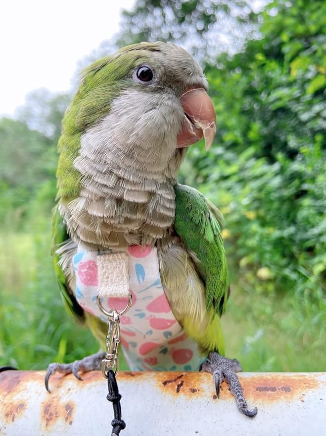 Bird Diaper Harness Flight Suit Clothes, Parrot Flight Suit with Leash, Bird Flying Clothes with Rope and Handle for Outdoor Activities Training (Pink with Leash,Small)