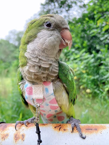 Bird Diaper Harness Flight Suit Clothes, Parrot Flight Suit with Leash, Bird Flying Clothes with Rope and Handle for Outdoor Activities Training (Pink with Leash,Small)