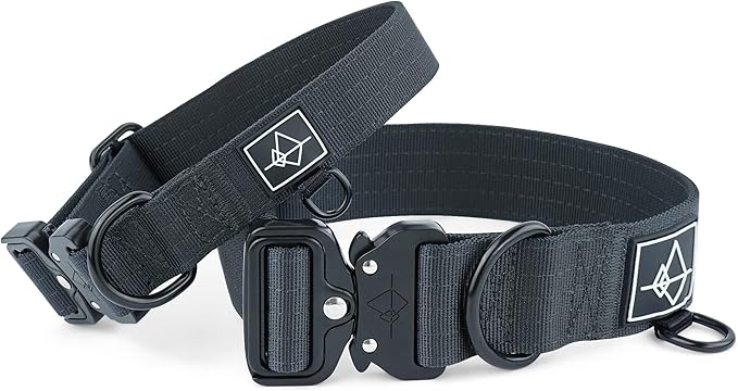 Made to ROAM Premium Dog Collar - Adjustable Heavy Duty Nylon Collar with Quick-Release Metal Buckle (New York Afterlight, Classic Size 5)