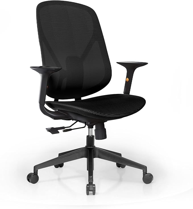 Mesh Office Chair – Ergonomic Office Chair with Lumbar Support, Adjustable Armrests & Sliding Soft Seat Cushion – Holds Up to 270lbs (Black)