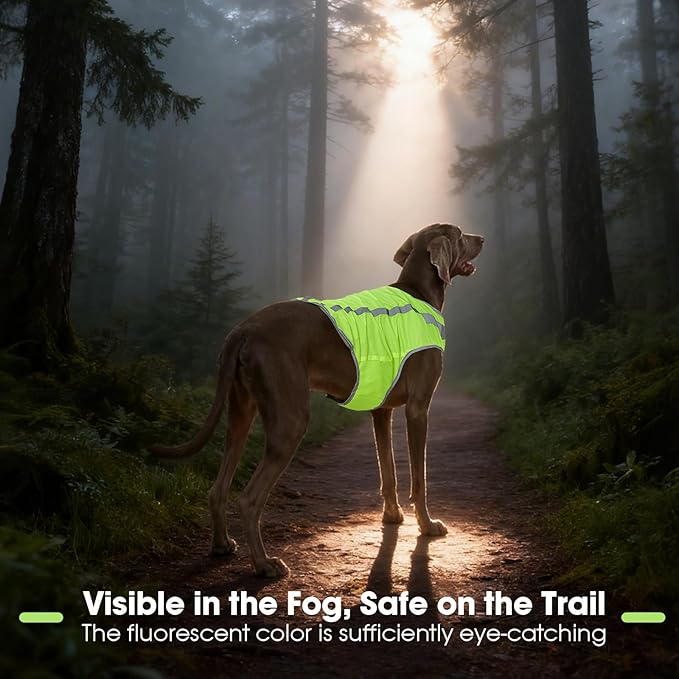 FUAMEY Dog Reflective Vest for Large Dogs,Dog Hunting Vest High-Visibility Dogs Safety Vest for Night Walking Water-Resistant Service Pet Gear Adjustable Outdoor Activities Neon Green XXXL