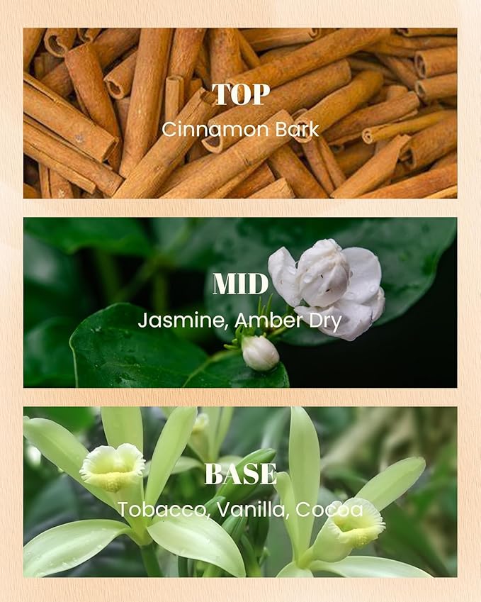 M&SENSE Cinnamon Tobacco Scented Candles,Vegan Soy Wax Candle,10oz 42-Hour Slow Burning Time,No Toxin Naturally Scented Fall Winter Home Fragrance for Stress Relief, Thanksgiving Christmas Gifts