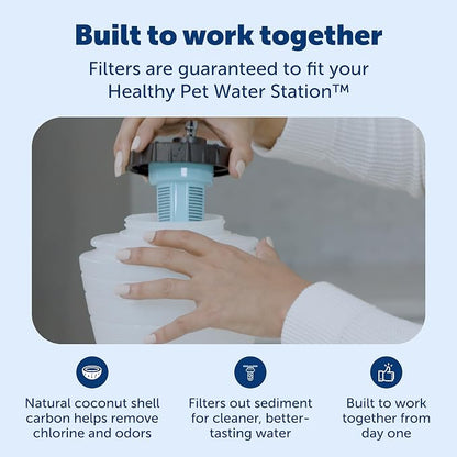 PetSafe Healthy Pet Food & Water Station, Small, 2-Pack Filters | Gravity Food & Water Station, 2 lb food, 64 oz Water, Dishwasher-Safe Stainless Bowl, Extra Filters