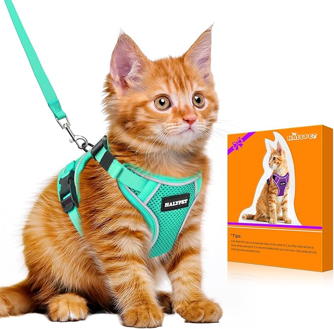 Halypet Cat Harness and Leash Set [MAX Safety 4th-Gen Upgrade] Escape Proof Adjustable Cat Leash Comfortable Soft Vest Easy to Wear Kitten Harness with Reflective Strip for Cats Walking, S Green
