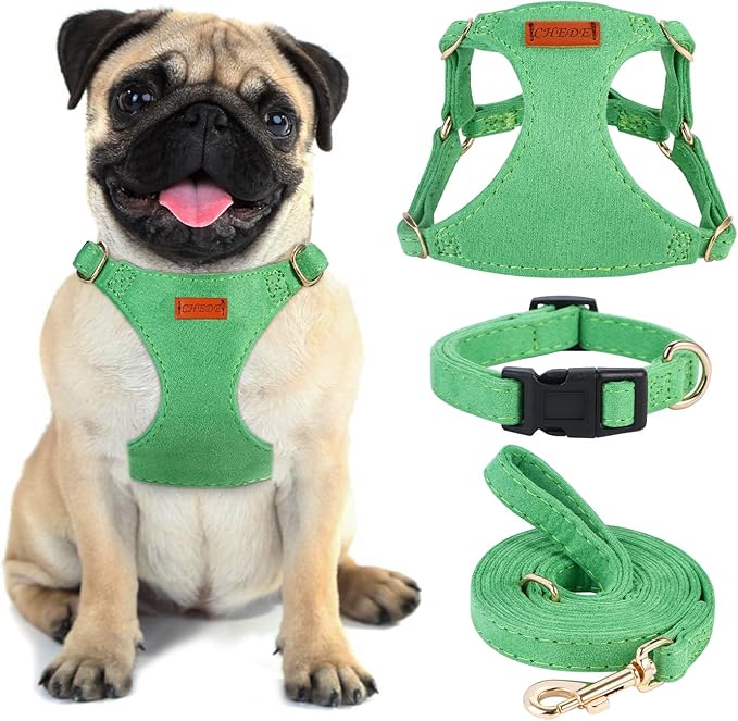No Pull Dog Harness- Lightweight, Soft, Adjustable Small Harness Collar and Leash Set, Suitable for Cats Puppy Small and Medium-Sized Dog Outdoor Training and Running (Green, S)