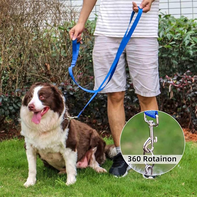 AMAGOOD 6 FT Puppy/Dog Leash, Strong and Durable Traditional Style Leash with Easy to Use Collar Hook, Great for Small, Medium and Large Dogs (1 in x 6 ft(Pack of 1), Blue)