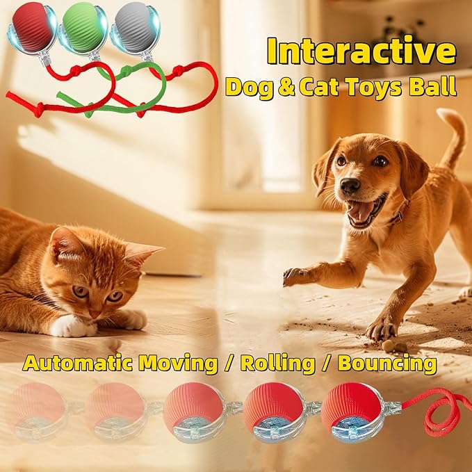 Interactive Dog Cat Toy Ball, Automatic Moving Bouncing Rolling, with Replacement Tail, Pet Smart Chase Ball Rechargeable, Enrichment Toys for Bored Indoor Adult Cats/Dogs