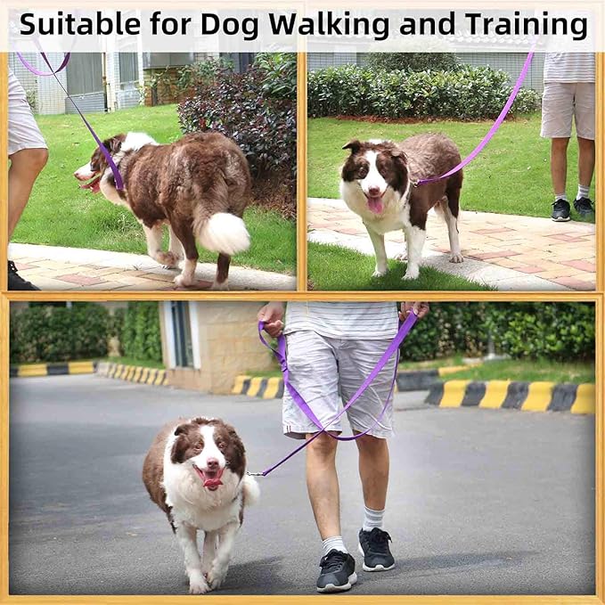AMAGOOD 6 FT Puppy/Dog Leash, Strong and Durable Traditional Style Leash with Easy to Use Collar Hook, Great for Small, Medium and Large Dogs (3/4 in x 6 ft, Purple)