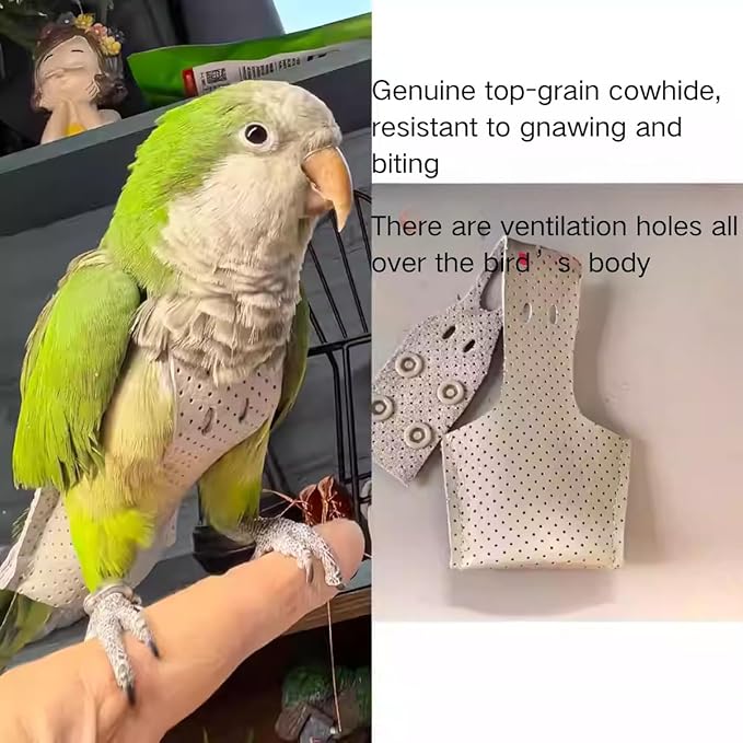 Premium Genuine Cowhide Bird Flight Harness Anti Bite Breathable Parrot Diaper Parrot Suit with Leash for Parakeet Conure Quaker Flying Clothes Rope and Handle (with Leash,X-Large)