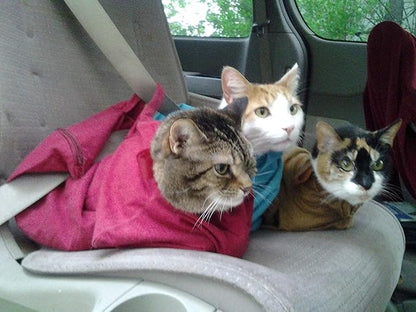 Cat-in-the-Bag Cozy Comfort Carrier - Extra Large Caramel Cat Carrier Soft and Pet Carrier for Medication Administration, Nail Clipping, Travel, Vet Visits, and Dental Care