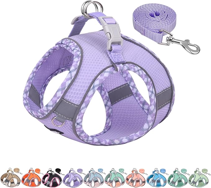 AIITLE Dog Harness and Leash Set - Ultra-Comfortable XXS-XL Vest with Strong Magic Tape & Glow-in-Dark Reflective Strips, Chafe-Free for Teddy, Schnauzer (Purple, M)