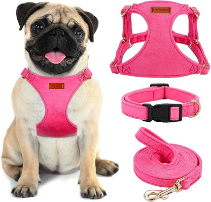 No Pull Dog Harness- Lightweight, Soft, Adjustable Small Harness Collar and Leash Set, Suitable for Cats Puppy Small and Medium-Sized Dog Outdoor Training and Running (hotpink, S)