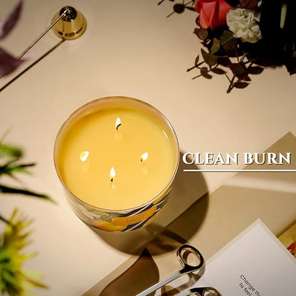 HomeLights Large jar Candle | 4-Wick Long-Lasting Scented Candles, 18oz Natural Soy Wax Candle for Home Scented, Eclectic Mixed Styles Gifts for Women & Men, Amalfi Lemon