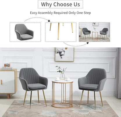ECOTOUGE Matte Velvet Dining Chairs Set of 2, Modern Arm Chair with Golden Metal Legs, Living Room Accent Chairs for Kitchen, Grey