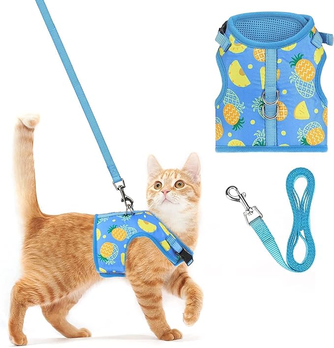 PUPTECK Soft Mesh Cat Vest Harness and Leash Set Puppy Padded Pet Harnesses Escape Proof for Cats Small Dogs Rabbits Bunny