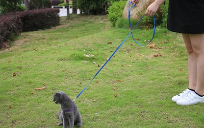AMAGOOD 6 FT Cat Leash, Strong and Durable Traditional Style Leash with Easy to Use Collar Hook,Cat Lead Great for Cats (3/8 in x 6 ft,Black and Blue(2-Pack))