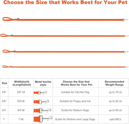 AMAGOOD 6 FT Cat Leashes, Strong Traditional Style Leash with Easy to Use Collar Hook,Cat Lead Great for Cats (3/8 in x 6 ft(Pack of 1), Orange)