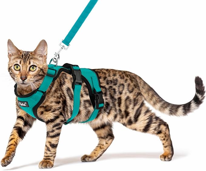 PUPTECK Cat Harness and Leash Set Escape Proof for Walking, Breathable Mash Vest Adjustable Harness for Cats Puppy Small Animals, Reflective at Night, Green Medium