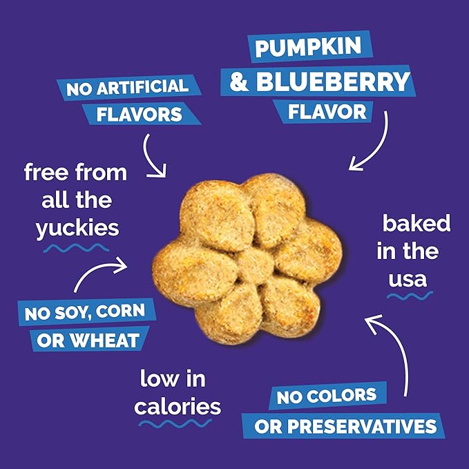 Fruitables Baked Dog Treats, Healthy Pumpkin Treat for Dogs, Low Calorie & Delicious, No Wheat, Corn or Soy, Made in the USA, Pumpkin and Blueberry Flavor, 7oz