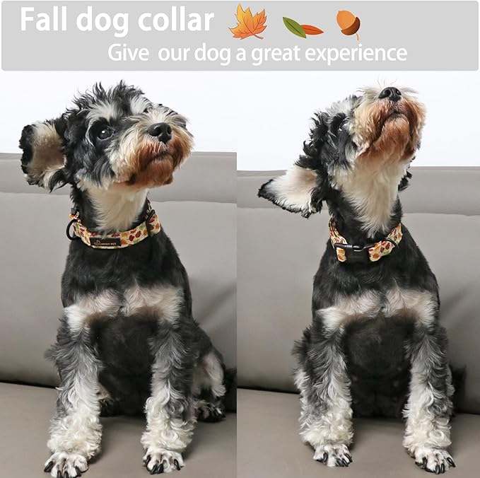 ARING PET Fall Dog Collar-Cotton Maple Leaves Dog Collar for Small Dogs, Adjustable Lightweight Dog Collars with Quick Release Buckle for Small Medium Large Dogs