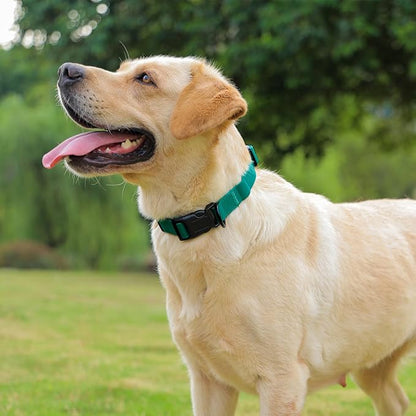 Waterproof Dog Collar, Easy to Clean Rubber Dog Collars with Quick Release Buckle Fits Small Medium or Large Dogs (Emerald Green, S < 9.5-14.1 inch)